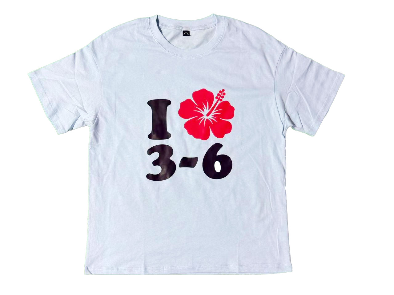 オリジナル　コットンTシャツ例